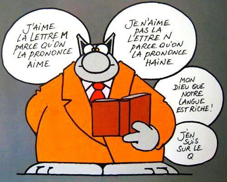 Le Chat - de Philippe Gelck